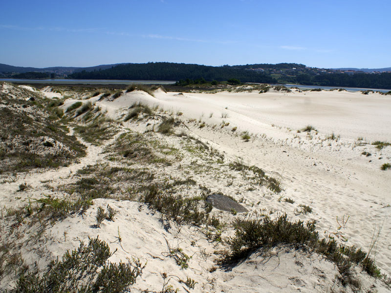 Dunas de arena